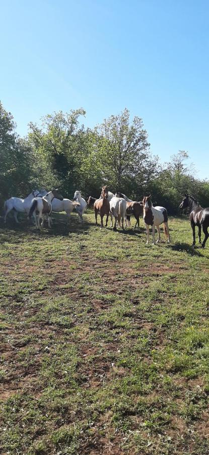 Gites les écuries Saserang Mouilleron Extérieur photo